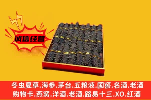 海南文昌市回收海参